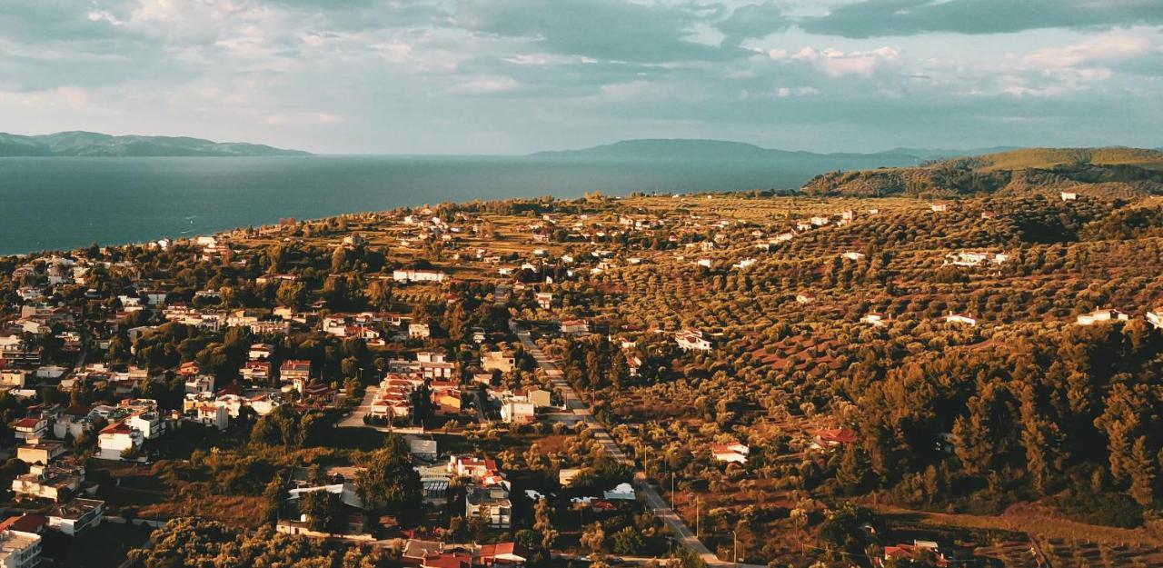 Diana Studios Πευκί Εξωτερικό φωτογραφία