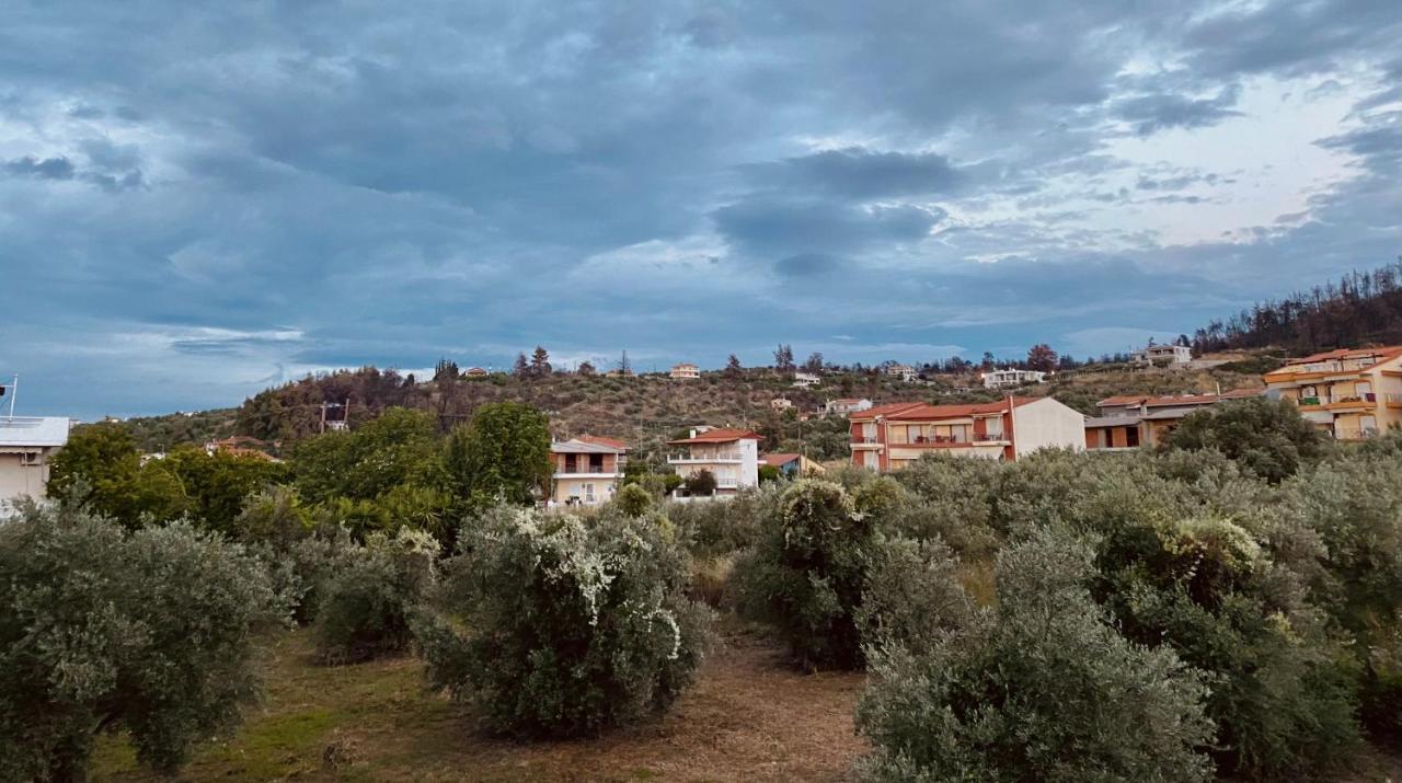 Diana Studios Πευκί Εξωτερικό φωτογραφία